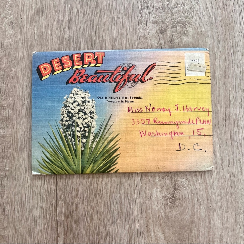 Vintage 1940s Death Valley Beauties Desert Scenic Souvenir Post‎ Card Folder